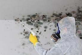 Best Mold Prevention Services in Tioga, ND